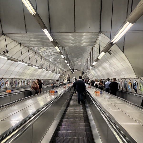 The tube 